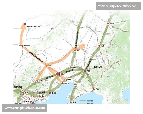 以全球布局为核心推动产业协同与创新发展的战略蓝图长期愿景规划